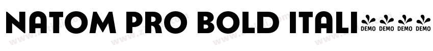 Natom Pro Bold itali字体转换